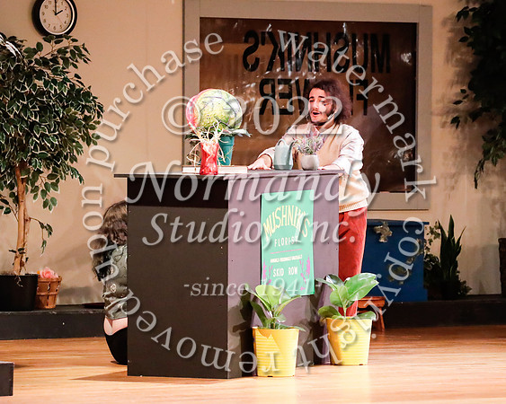 BER_61_little shop of horrors
