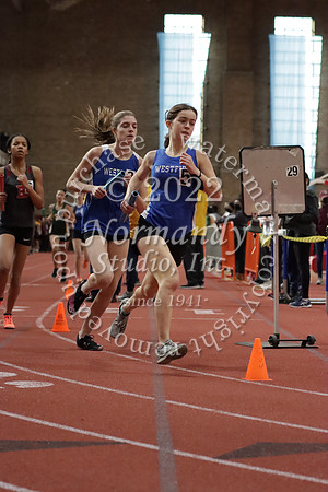 WHS_57_wt-g