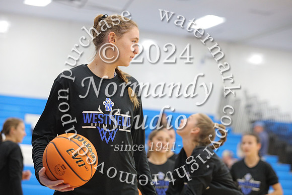 WHS_bb-g_12