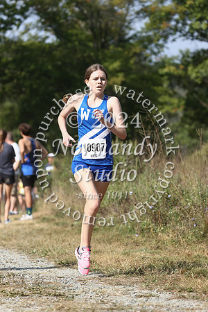 WHS_cc-g_61
