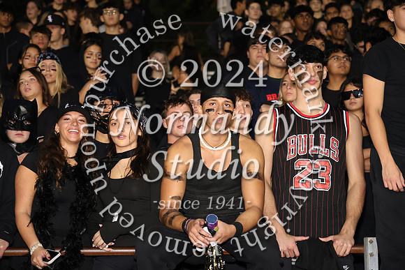 MNP_fans_08