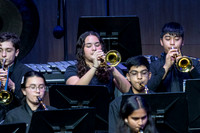 WTG_concert_17