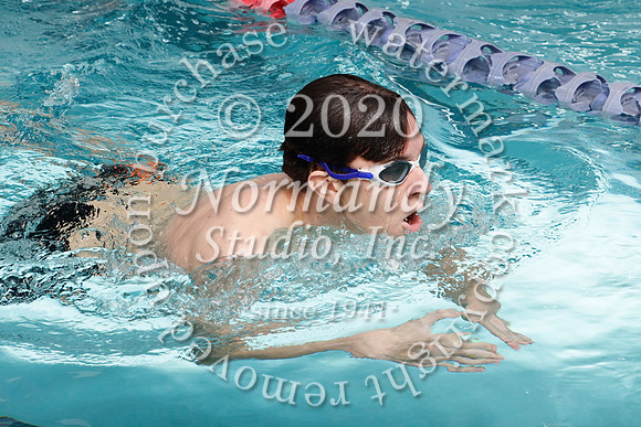 SVL_29_sw-b
