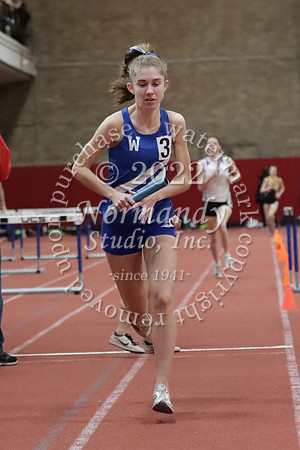 WHS_29_wt-g