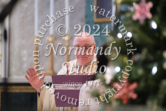 MSM_tree lighting_50