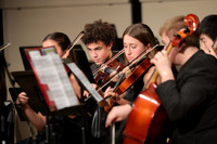 BER_orchestra_10