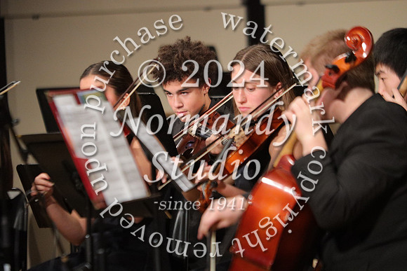 BER_orchestra_10