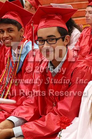 MNP_037_grad