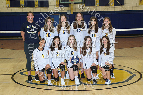 DVH_vb-g-f-t_03