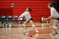 LIB_vb-g_13