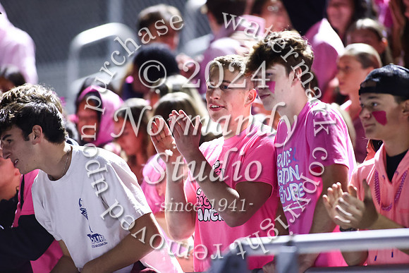 SPF_fans_39