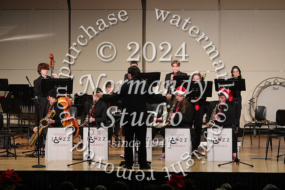 BER_orchestra_41
