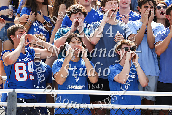 WHS_fans_16
