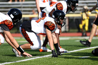 SVL_fb-f_02