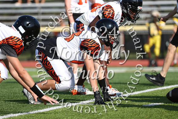 SVL_fb-f_02