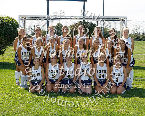 DVH_fh-combined-t_03