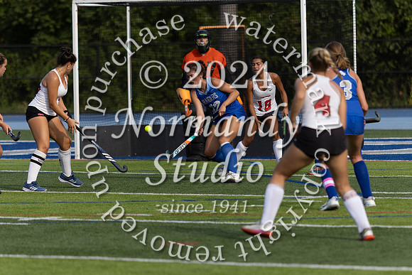 SPF_fh_37