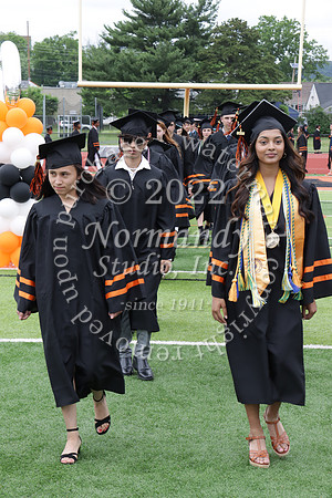 SVL_grad_037
