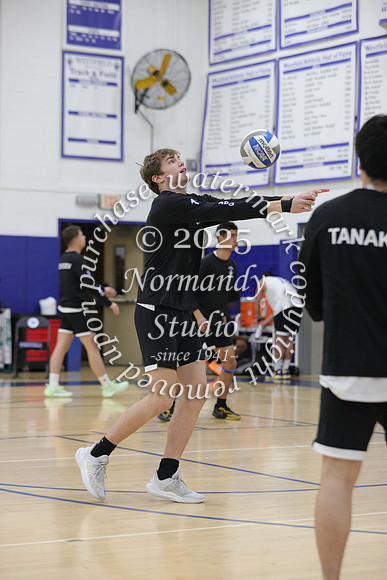 WHS_vb-b-v_03