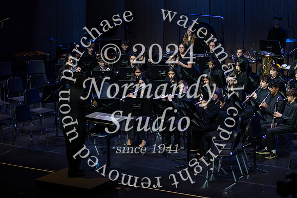WTG_concert_48