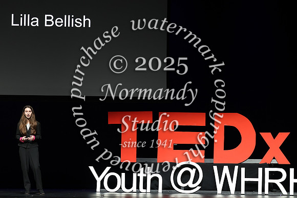 WTG_TEDx_026