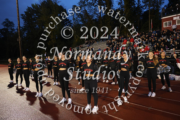 MNP_dt_02