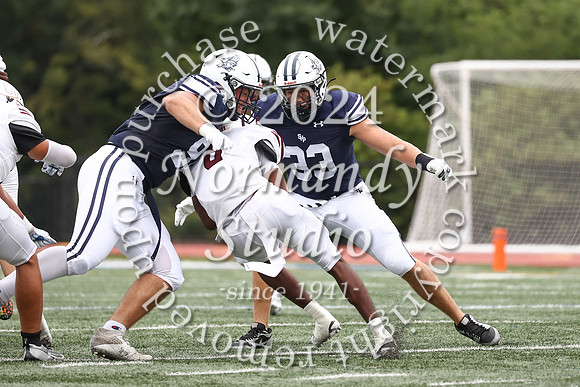 SHP_fb_41