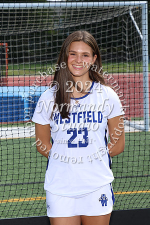 WHS_fh-srs_387