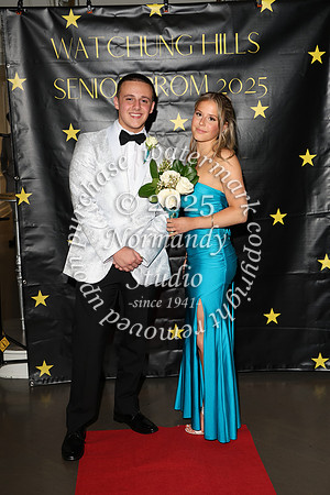 WTG_sr_prom_049