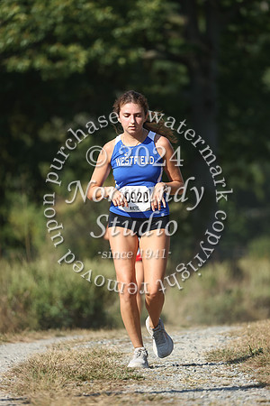 WHS_cc-g_50