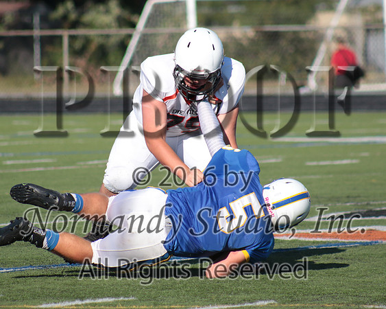SVL_14_fb-j