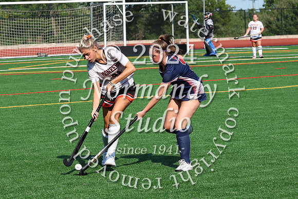 SVL_fh_20