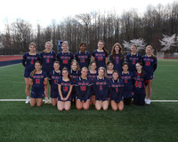 MSM_lc-v-t_02