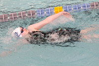 WHS_sw-g_11