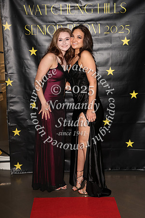 WTG_sr_prom_025