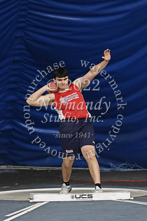 MNP_009_wt-b