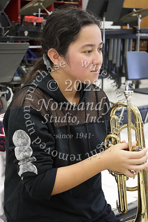 MNP_slc_010