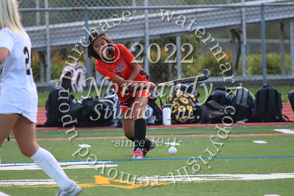 SVL_fh_07