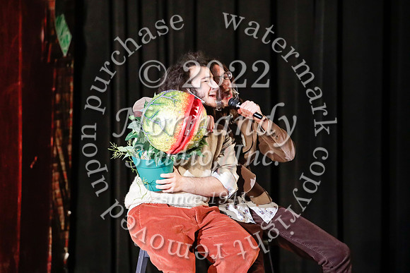 BER_66_little shop of horrors