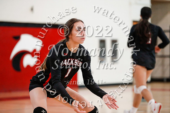 JAC_vb-g_46