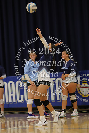 IMC_vb-g_46