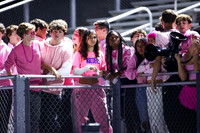 SPF_fans_20