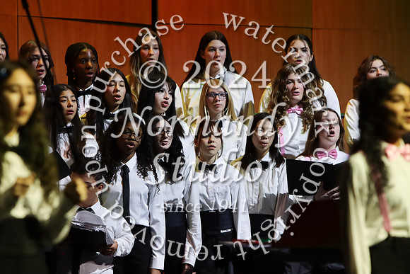 WTG_concert_32