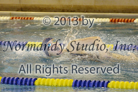 WMC_55_sw