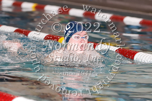 WMC_32_sw-g