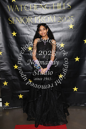 WTG_sr_prom_030