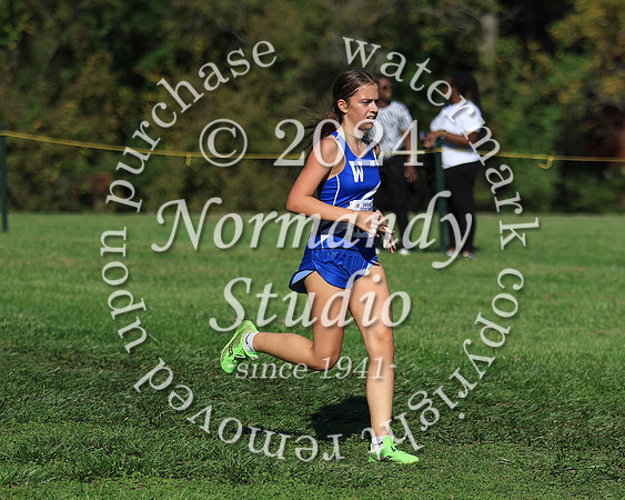 WHS_cc-g_45