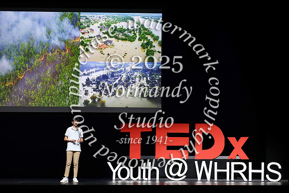 WTG_TEDx_044