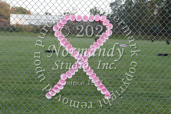 ALJ_53_pink-out