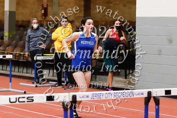 WHS_37_wt-g